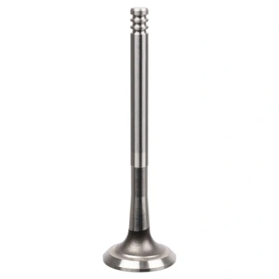 Bild av FEBI BILSTEIN 21214 Soupape d&#039;Admission AUDI: A4 B6 Berline, B7 B6/B7 Cabriolet, VOLKSWAGEN: Passat B5 GP Berline
