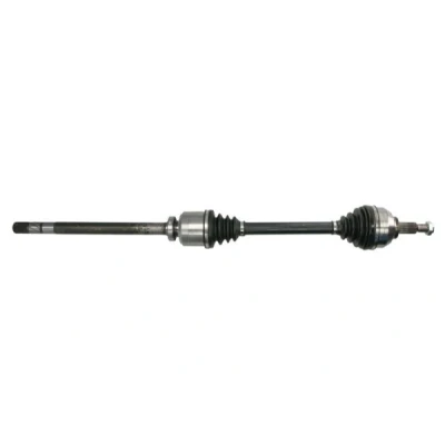 Bild av Drivaxel PASCAL G2R076PC