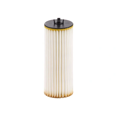 Bild av Oljefilter MANN FILTER HU 6008/1 z