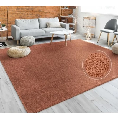 Bild av Paco Home Matta Vardagsrum Enfärgad Stilren Och Modern Stor Matta, Olika Storlekar Färger, Storlek:160 cm Fyrkant, Färg:Koppar