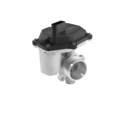 Bild av Egr Ventil Wahler 712079D