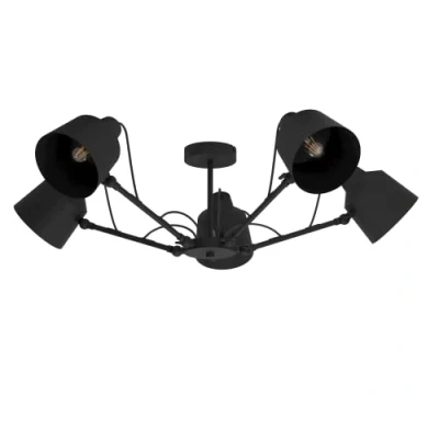 Bild av EGLO BASURTU ceiling light