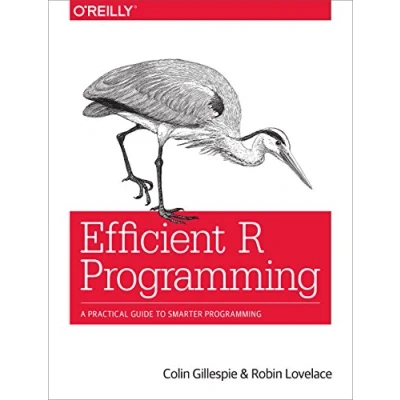 Bild av Efficient R Programming: A Practical Guide to Smarter Programming