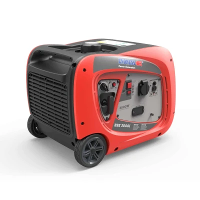Bild av Generator Endress ESE 3000i