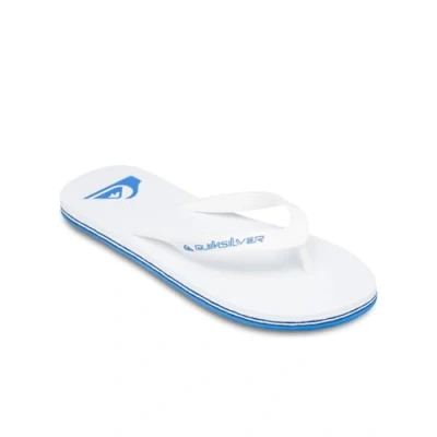 Bild av Quiksilver Molokai CORE Tåsandaler, Storlek: 44, White blue Konstmaterial