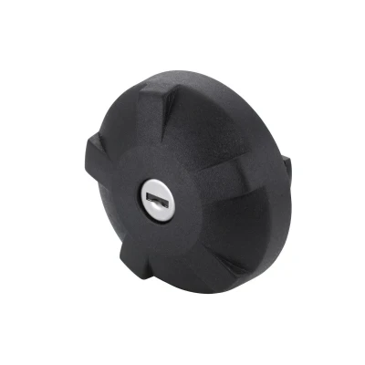 Bild av HELLA 8XY 007 747 001 Bouchon, réservoir de carburant 66 avec verrou, clé Matière plastique noir sans bande retenue RENAULT: MEGANE 1 Coach