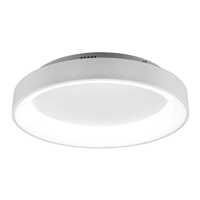 Bild av Trio Leuchten LED taklampa Girona 671290131, metall vit matt, akryl, inklusive 48 watt LED, dimmer, minnesfunktion, nattlampa, fjärrkontroll