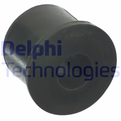 Bild av DELPHI TD1250W Suspension, ressort à lames