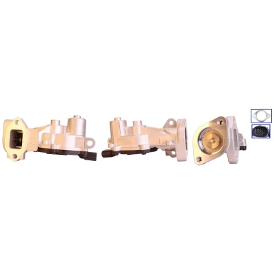 Bild av DRI 717730152 Vanne EGR électrique avec joints OPEL: Corsa D 3/5 portes, Astra J 5 Mokka / X, CHEVROLET: Cruze Break, portes