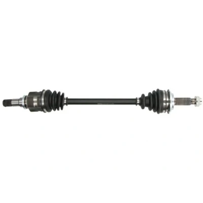 Bild av Drivaxel PASCAL G22010PC