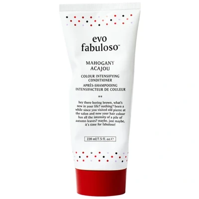 Bild av Evo Fabuloso Mahogany Colour Intensifying Conditioner 250ml