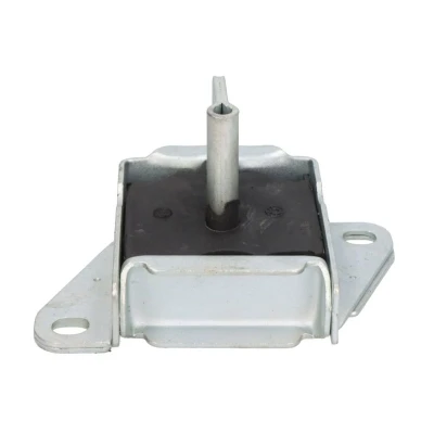 Bild av Motormontering SASIC 4001384