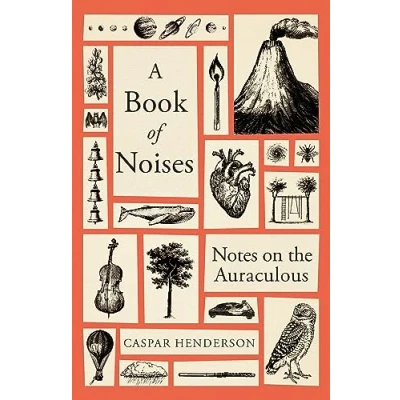 Bild av A Book of Noises: Notes on the Auraculous