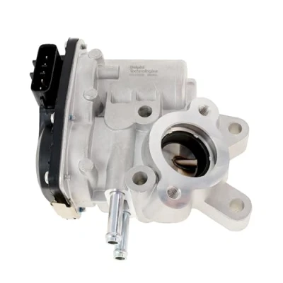 Bild av DELPHI EG10536 12B1 EGR Ventil utan avgasåterförings kylare NISSAN: NP300 Navara Pick up, up