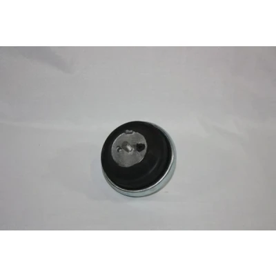 Bild av AUTOMEGA 130111910 Support moteur OPEL: Omega B Caravan, Berline