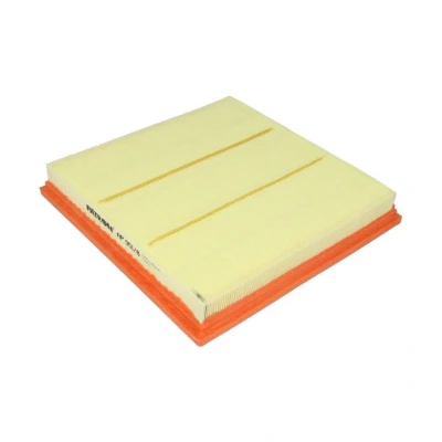 Bild av Luftfilter FILTRON AP 051/8