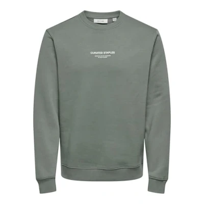 Bild av Endast &amp; SONS ONSCURATED REG Crew Neck Sweat, Castor Gray, XS