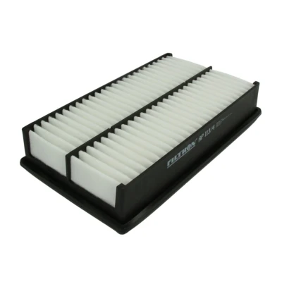 Bild av Luftfilter Filtron AP 113/4