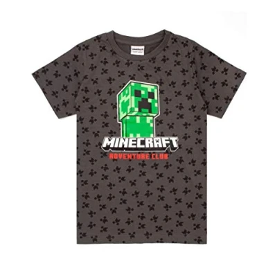 Bild av Minecraft T shirt pojkar barn Creeper kortärmad grå toppvara, GRÅ, 11 12 År