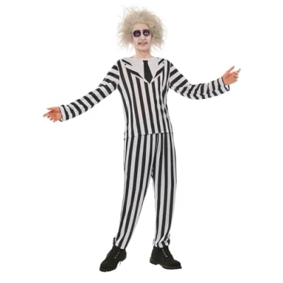 Bild av Rubies Beetlejuice OPP dräkt för vuxna, jacka och byxor, officiell licens Halloween, cosplay, fester karneval
