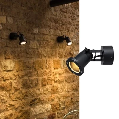 Bild av SLV Vägg och takstrålkastare NAUTILUS 25 CL Utomhuslampa för belysning av trädgård, terrass, växter, vägar, damm utomhus vägglampa, utomhusstrålkastare IP54, GU10, utan monteringsplatta