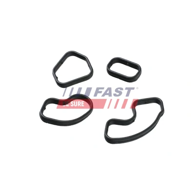 Bild av FAST FT48957 Packningar