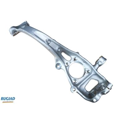 Bild av BUGIAD BSP25399 Porte Fusée Essieu avant gauche