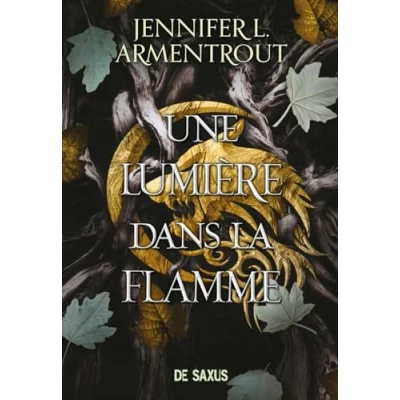 Bild av la Chair et le Feu (broché) Tome 02 Une Lumière dans flamme: 2