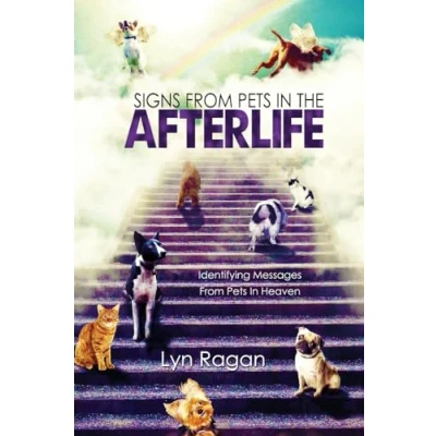 Bild av Signs From Pets In The Afterlife: Identifying Messages Heaven