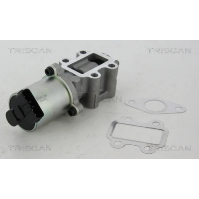 Bild av TRISCAN 8813 13102 Vanne EGR électronique avec joints TOYOTA: Corolla Verso, RAV4 III SUV, Auris 5 portes