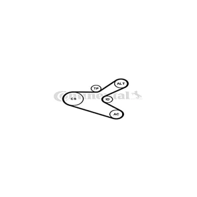 Bild av CONTITECH 6PK1153K2 Jeu de courroies trapézoïdales à nervures PEUGEOT: 307 3/5 portes, SW, Break, CITROËN: C4 I portes