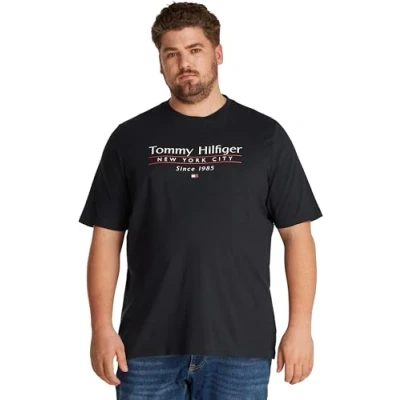 Bild av Tommy Hilfiger Center Stack TEE Tshirt med print, Storlek: 3XL, Desert sky