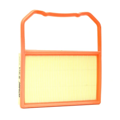 Bild av Luftfilter FILTRON AP 183/4