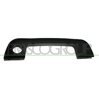 Bild av PRASCO BM0148702 Poignée De Porte extérieur, avant gauche noir BMW: 3 Berline, Compact, Touring