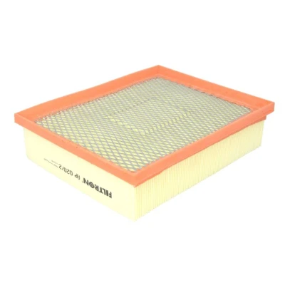 Bild av Luftfilter Filtron AP 020/2