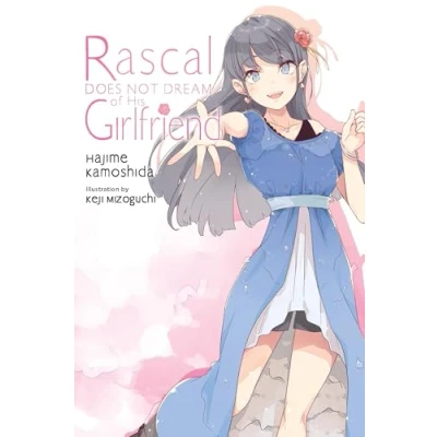 Bild av Rascal Does Not Dream of Girlfriend (light novel): Volume 14
