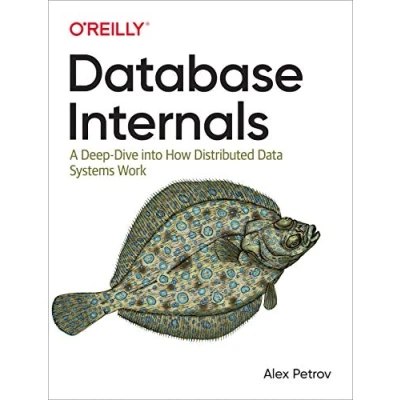 Bild av Database Internals: A Deep Dive Into How Distributed Data Systems Work