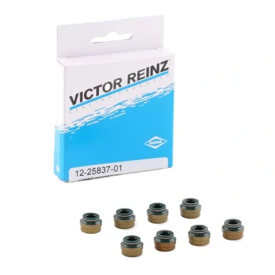 Bild av Packningssats, ventiler VICTOR REINZ 12 25837 01