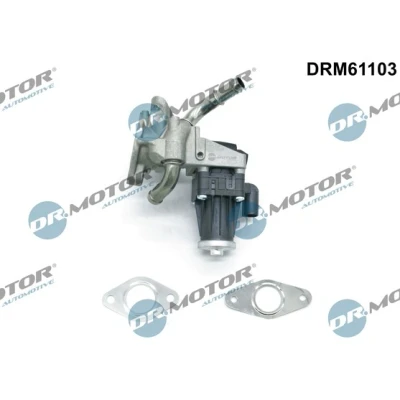 Bild av DR.MOTOR AUTOMOTIVE DRM61103 EGR Ventil elektrisk med tätning FORD: Transit Mk6 Flak / Chassi, Skåpbil, Tourneo