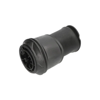 Bild av Luftfjäder, hjulupphängning KAVO PARTS SAS 10008