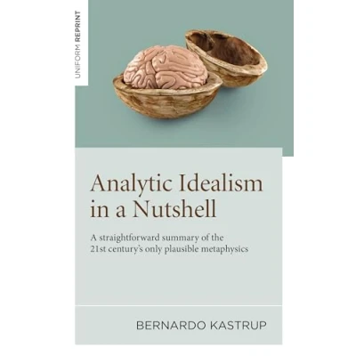Bild av Analytic Idealism in A Nutshell: straightforward summary of the 21st century’s only plausible metaphysics