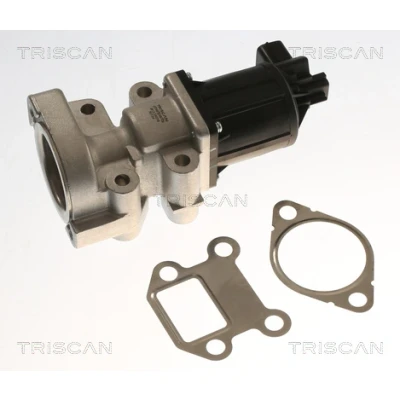 Bild av TRISCAN 8813 24018 Vanne EGR électrique sans joints OPEL: Corsa D 3/5 portes, Zafira B, Astra H VAUXHALL: Mk6, Mk5