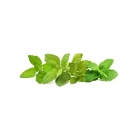 Bild av Click &amp; Grow and Smart Garden Refill 9 pack Calming