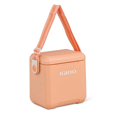 Bild av IGLOO Tag a Long Cooler Box 10L Orange