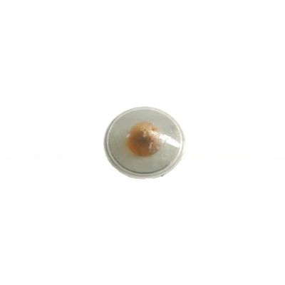 Bild av PRASCO FT1334139 Clignotant jaune côté conducteur ou passager, installation latérale sans porte lampe FIAT: Punto II 3/5 portes