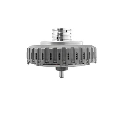 Bild av Kopplingssats BORGWARNER 202153
