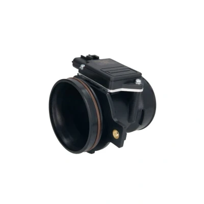 Bild av Luftmassesensor DELPHI AF10655 12B1
