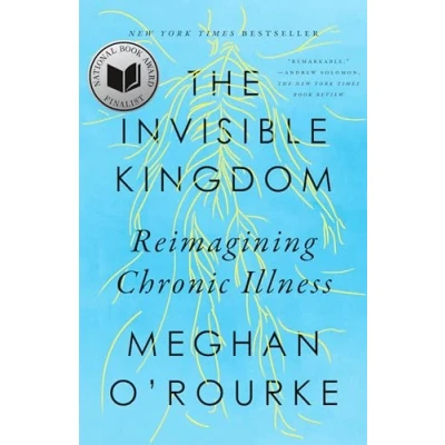 Bild av The Invisible Kingdom: Reimagining Chronic Illness