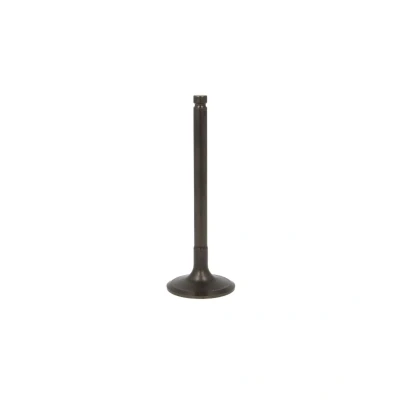 Bild av Inloppsventil TRW ENGINE COMPONENT 105 35624
