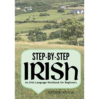 Bild av Step by Irish: An Irish Language Workbook for Beginners